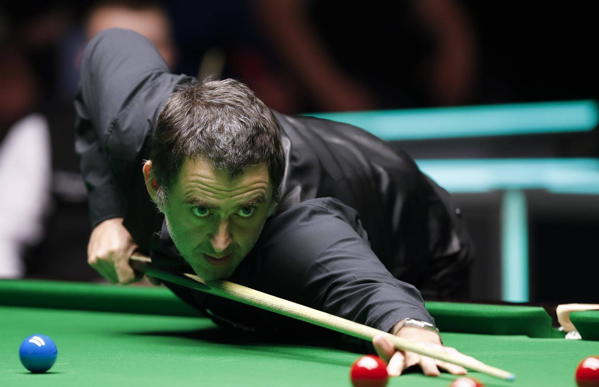 他成员创造 他成员创造